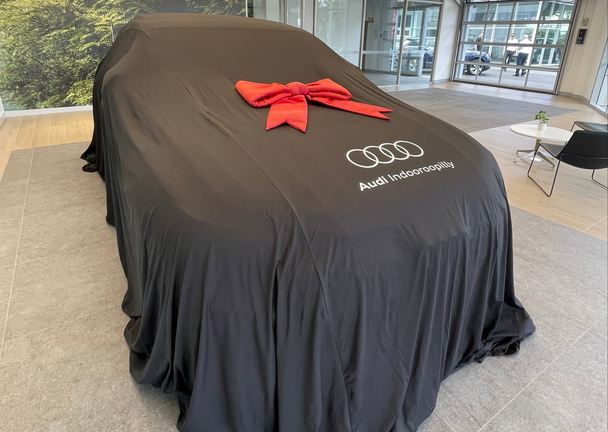 The Showroom Reveal Edition