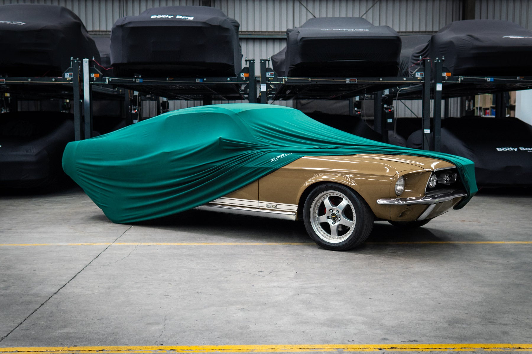 The Sleeping Bag - Medium