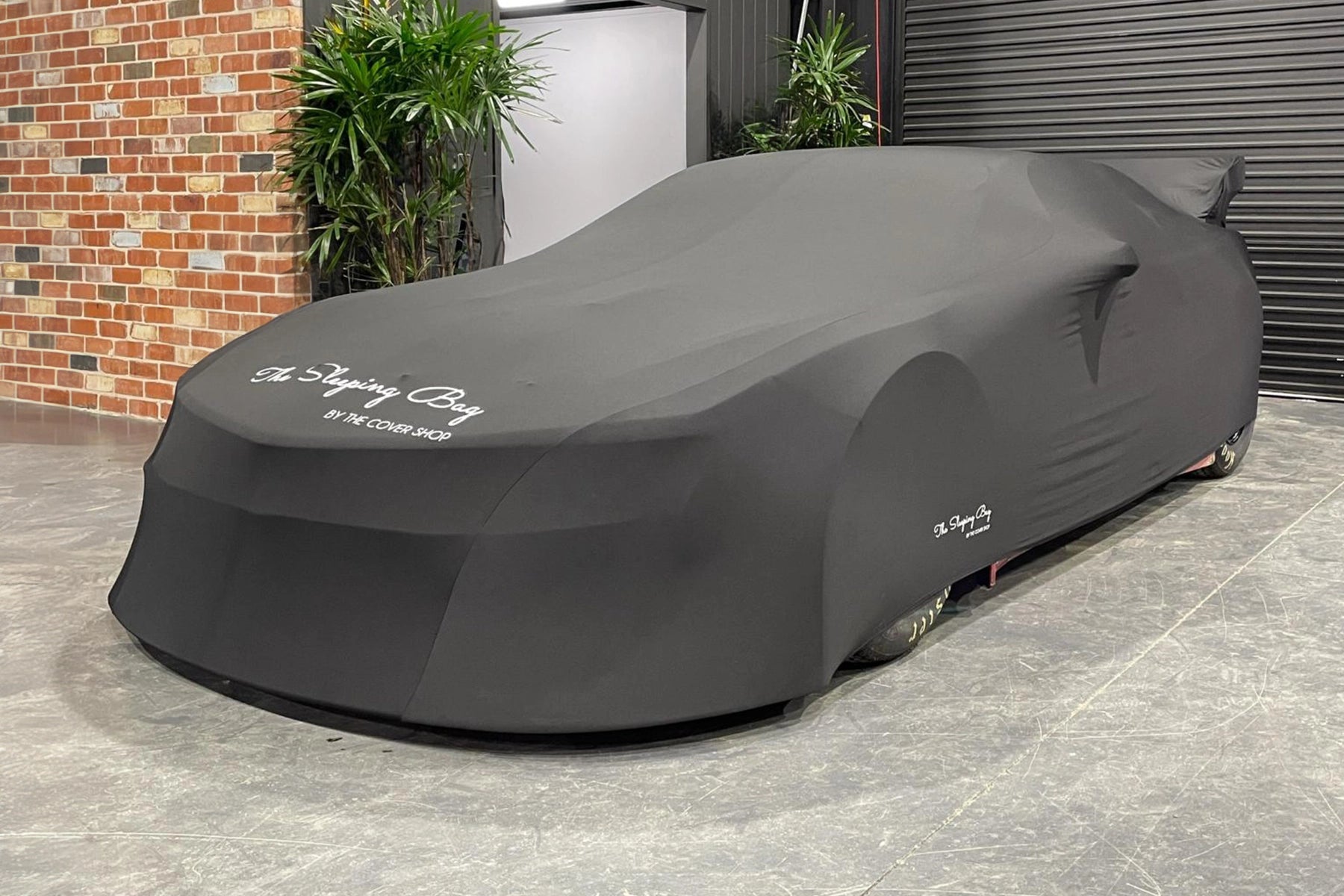 The TransAm Edition