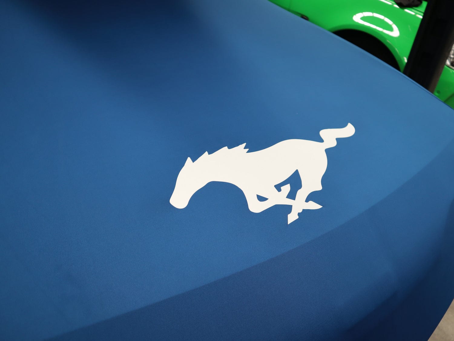 The Sleeping Bag - Medium