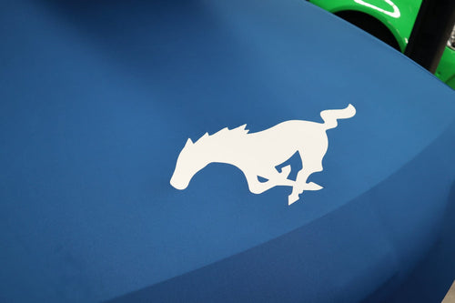 The Sleeping Bag - Small