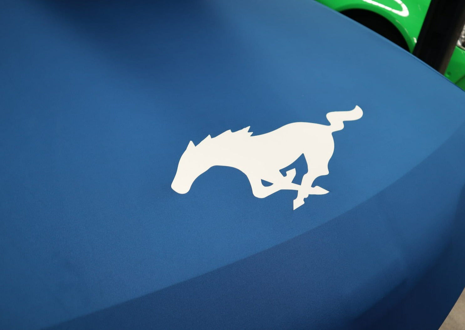 The Sleeping Bag - Large